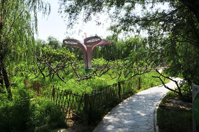 德州皇明太阳谷实景欣赏