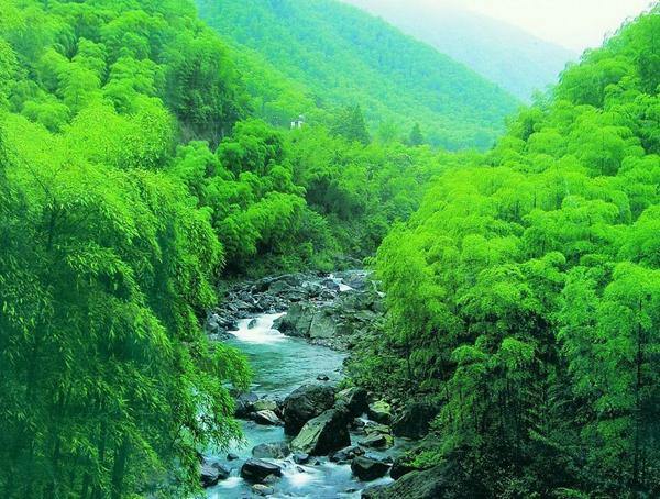 安吉大竹海景区简介