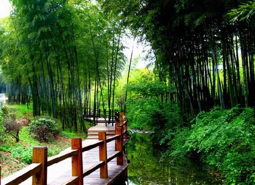 宜兴竹海风景区门票团购,竹海风景区门票现在预订仅需69元享有原价80