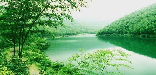 宜兴竹海风景区门票团购,竹海风景区门票现在预订仅需元享有原价80