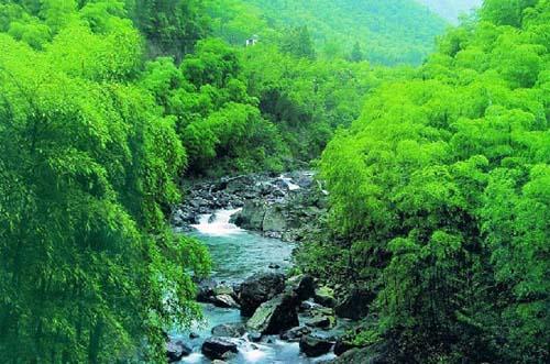 宜兴竹海风景区门票团购,竹海风景区门票现在预订仅需69元享有原价80