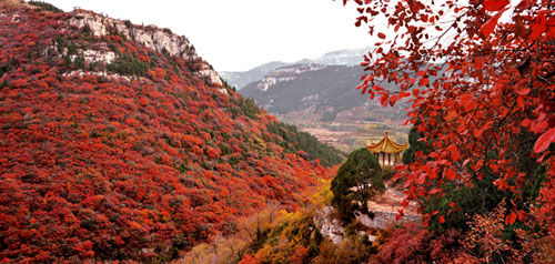 石门坊门票,临朐石门坊风景区门票开始团购了,石门坊门票团购只要58元